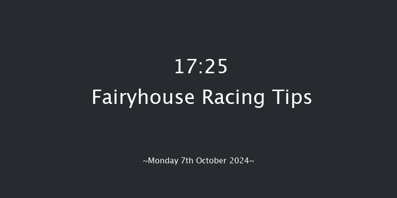 Fairyhouse  17:25 NH Flat Race 16f Mon 23rd Sep 2024