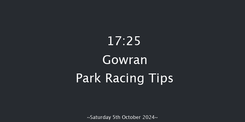 Gowran Park  17:25 Handicap Chase 18f Fri 4th Oct 2024