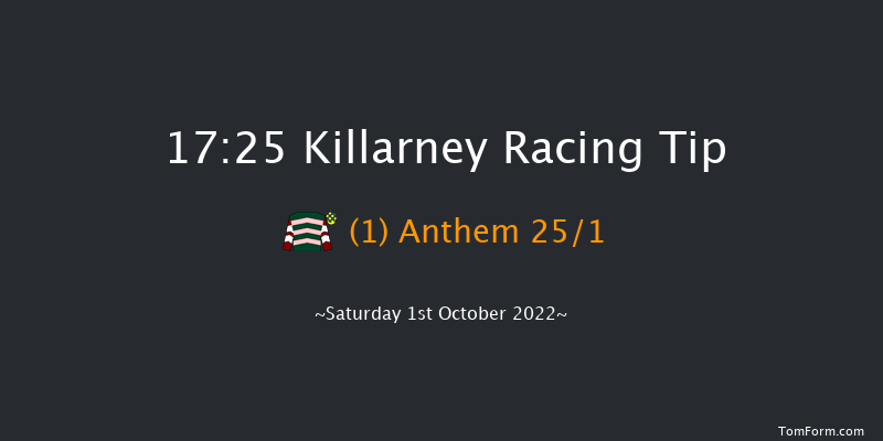 Killarney 17:25 Maiden 11f Sat 20th Aug 2022