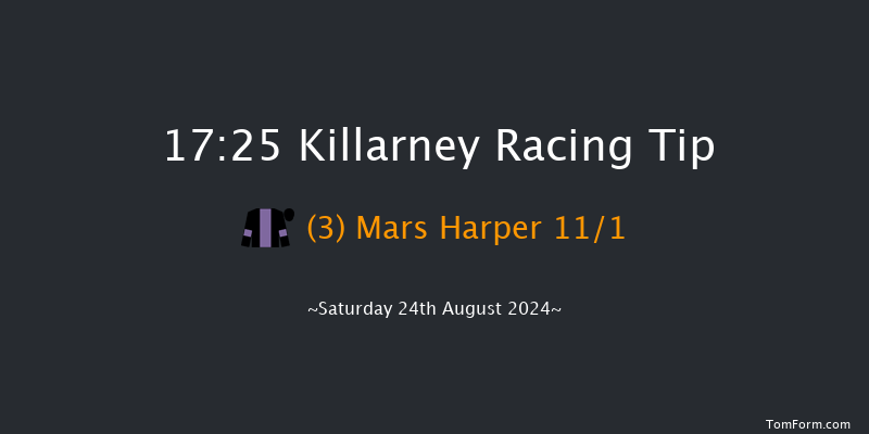 Killarney  17:25 Handicap Chase 21f Fri 23rd Aug 2024