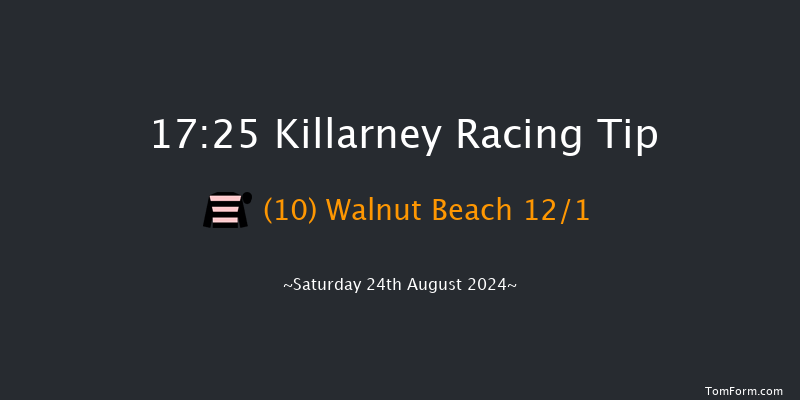 Killarney  17:25 Handicap Chase 21f Fri 23rd Aug 2024