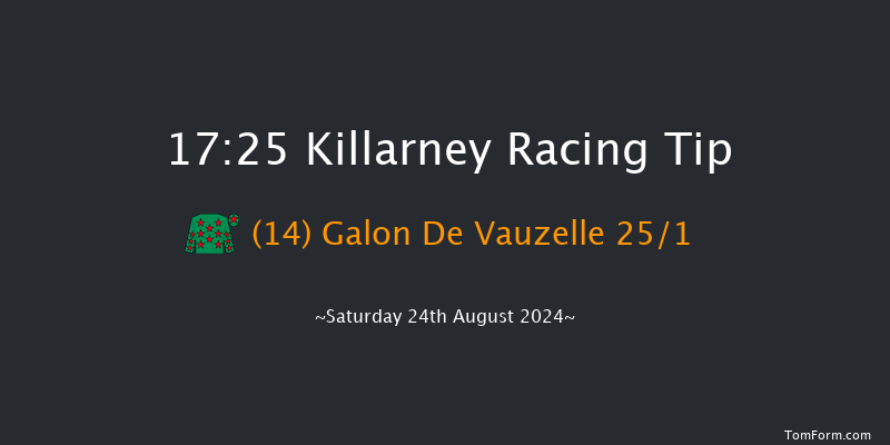 Killarney  17:25 Handicap Chase 21f Fri 23rd Aug 2024