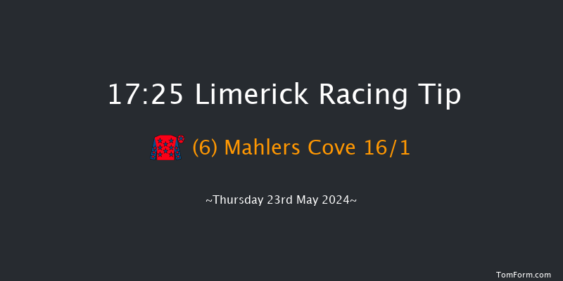 Limerick  17:25 Handicap Chase 18f Thu 16th May 2024