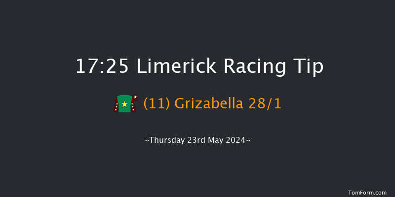 Limerick  17:25 Handicap Chase 18f Thu 16th May 2024