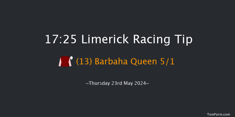 Limerick  17:25 Handicap Chase 18f Thu 16th May 2024