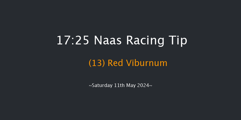 Naas  17:25 Handicap 8f Mon 29th Apr 2024