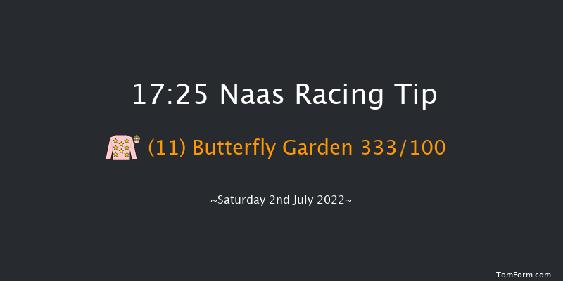 Naas 17:25 Handicap 10f Wed 22nd Jun 2022