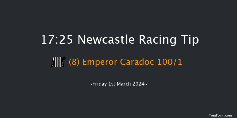 Newcastle  17:25 Handicap
(Class 5) 10f Sat 24th Feb 2024