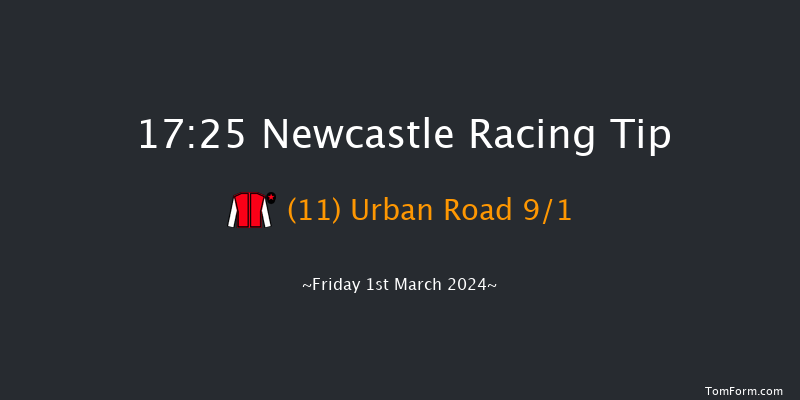 Newcastle  17:25 Handicap
(Class 5) 10f Sat 24th Feb 2024