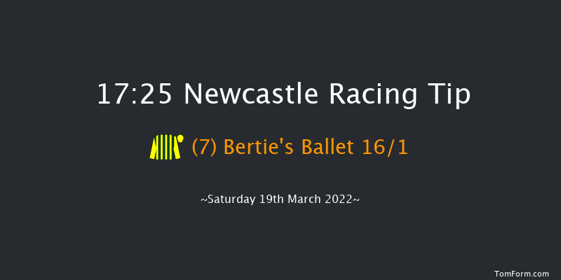 Newcastle 17:25 NH Flat Race (Class 5) 16f Fri 18th Mar 2022