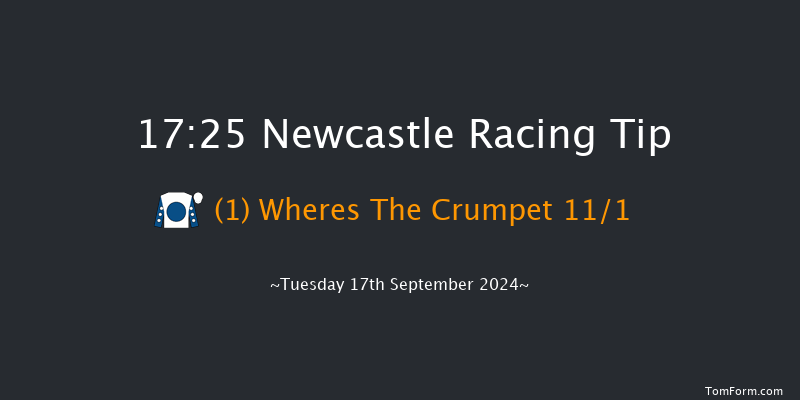 Newcastle  17:25 Handicap (Class 6) 10f Thu 12th Sep 2024