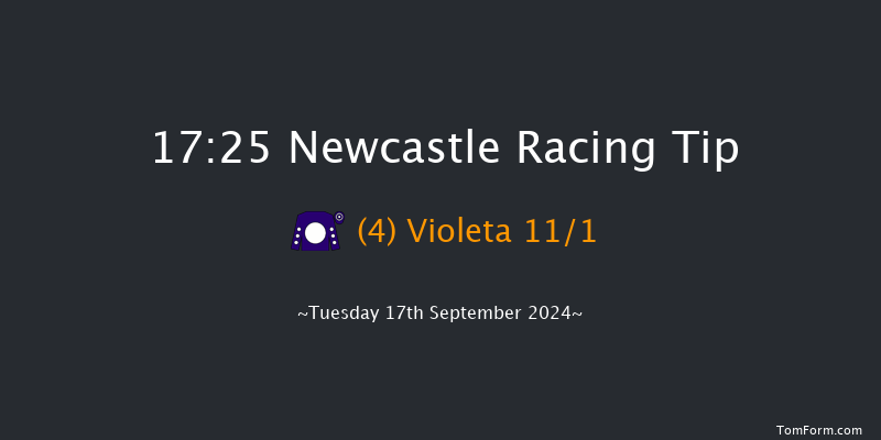 Newcastle  17:25 Handicap (Class 6) 10f Thu 12th Sep 2024