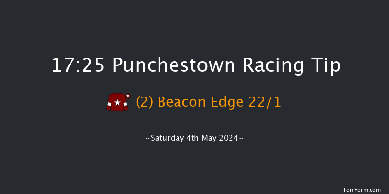 Punchestown  17:25 Handicap Hurdle 20f Fri 3rd May 2024