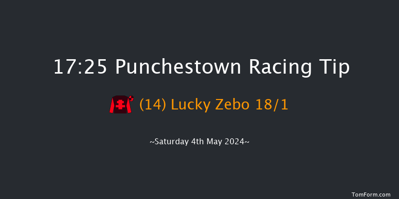 Punchestown  17:25 Handicap Hurdle 20f Fri 3rd May 2024