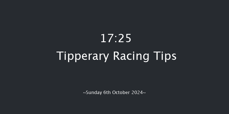 Tipperary  17:25 NH Flat Race 16f Sun 1st Sep 2024