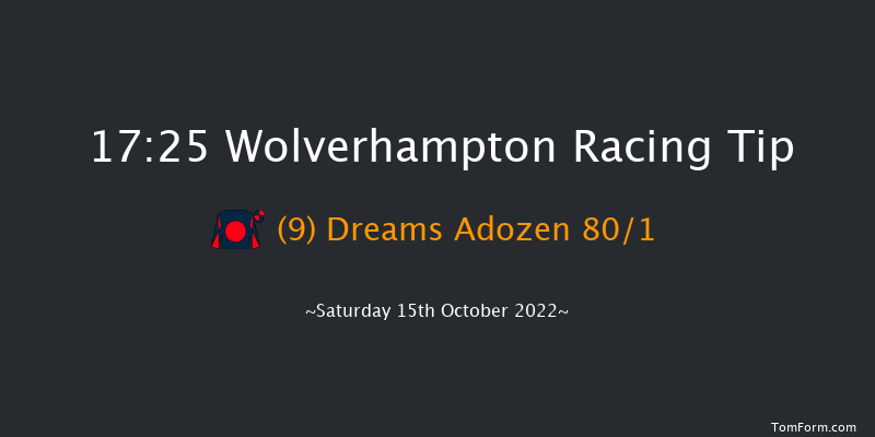 Wolverhampton 17:25 Stakes (Class 5) 9f Wed 12th Oct 2022