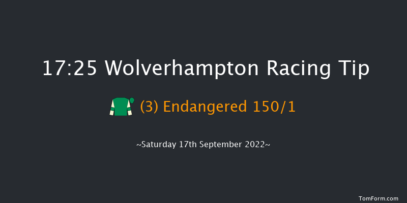 Wolverhampton 17:25 Stakes (Class 5) 9f Tue 13th Sep 2022