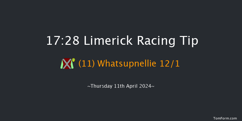 Limerick  17:28 NH Flat Race 19f Sun 24th Mar 2024