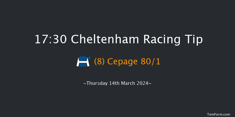 Cheltenham  17:30 Handicap Chase (Class 2)
26f Wed 13th Mar 2024