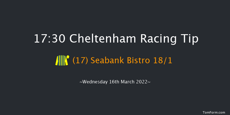 Cheltenham 17:30 NH Flat Race (Class 1) 16f Tue 15th Mar 2022