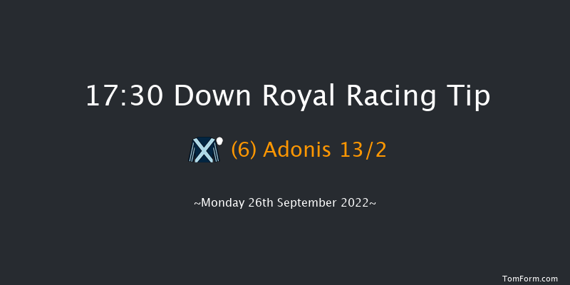 Down Royal 17:30 Handicap 13f Fri 2nd Sep 2022