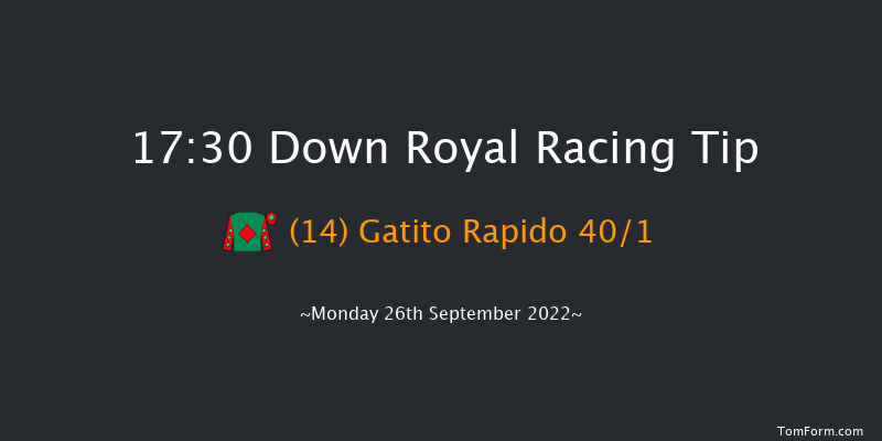 Down Royal 17:30 Handicap 13f Fri 2nd Sep 2022