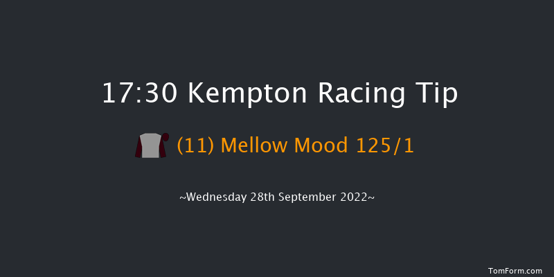 Kempton 17:30 Stakes (Class 5) 8f Wed 21st Sep 2022