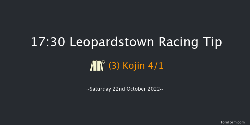 Leopardstown 17:30 Stakes 10f Sat 15th Oct 2022