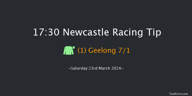 Newcastle  17:30 Handicap (Class 6) 12f Fri 22nd Mar 2024