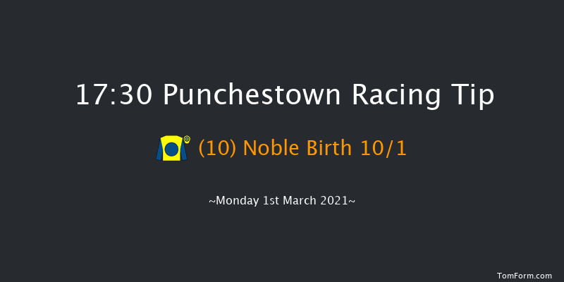 Blackhills Flat Race Punchestown 17:30 NH Flat Race 16f Sun 14th Feb 2021