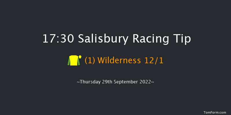 Salisbury 17:30 Handicap (Class 4) 14f Thu 1st Sep 2022