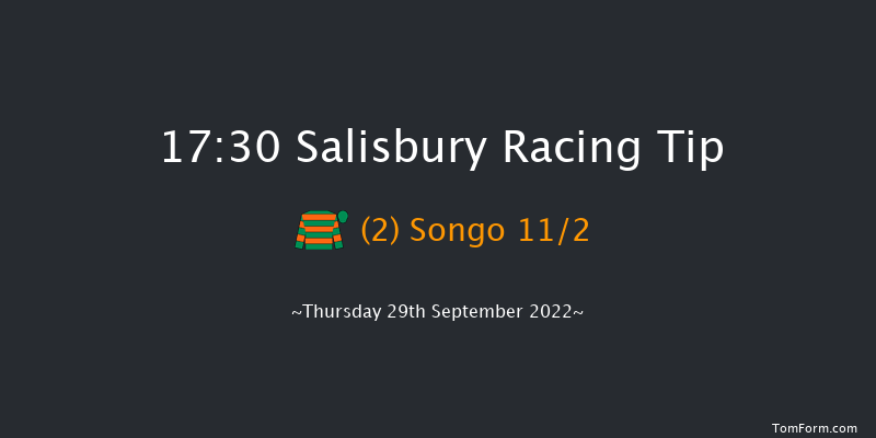 Salisbury 17:30 Handicap (Class 4) 14f Thu 1st Sep 2022