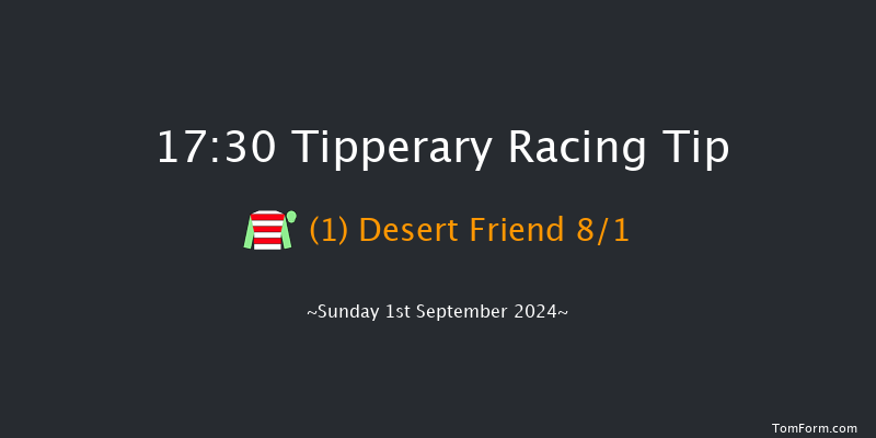 Tipperary  17:30 Handicap 12f  Thu 4th Jul 2024