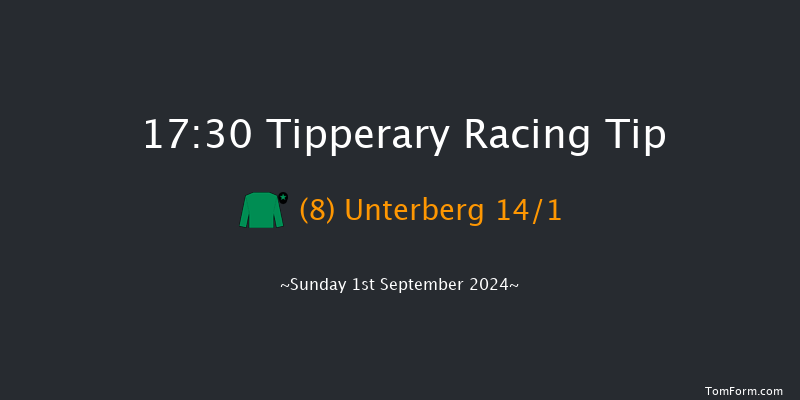 Tipperary  17:30 Handicap 12f  Thu 4th Jul 2024