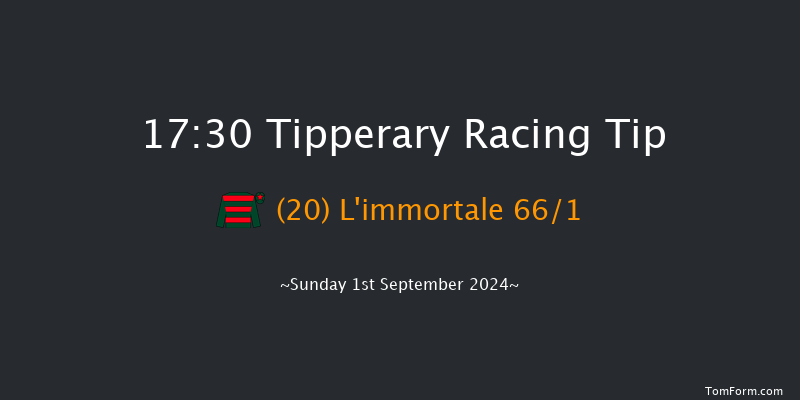 Tipperary  17:30 Handicap 12f  Thu 4th Jul 2024