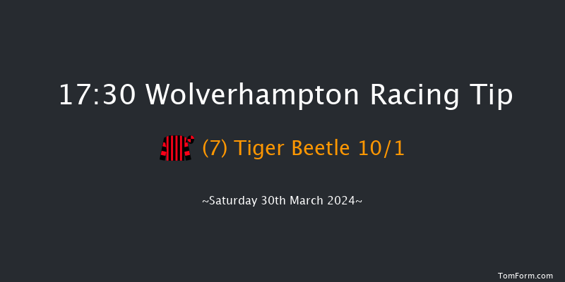 Wolverhampton  17:30 Handicap (Class 4) 10f Sat 23rd Mar 2024