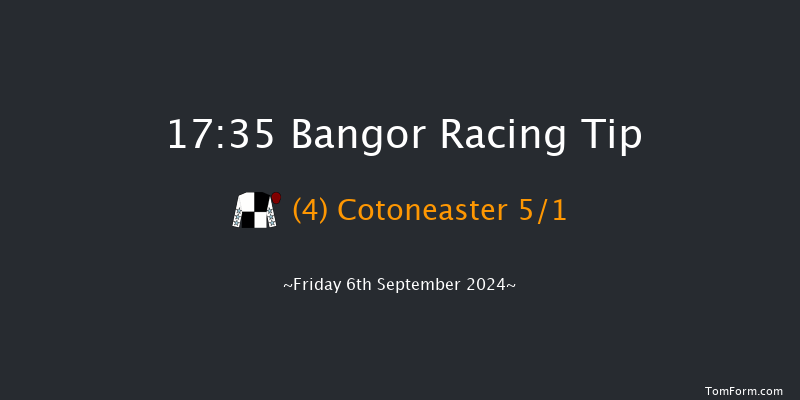 Bangor-on-dee  17:35 Handicap Hurdle (Class 5) 17f Fri 28th Jun 2024