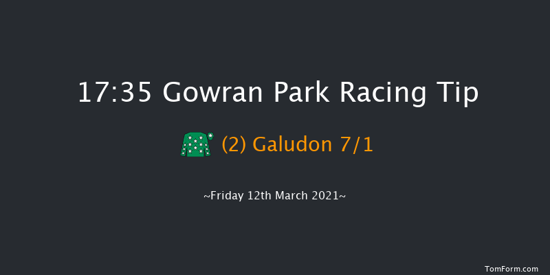 'Doc's Bumper' Point-To-Point Flat Race Gowran Park 17:35 NH Flat Race 18f Tue 2nd Mar 2021