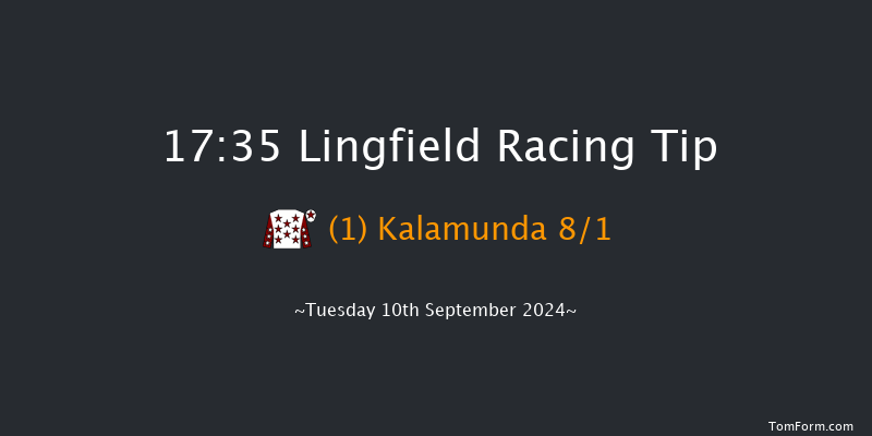 Lingfield  17:35 Handicap (Class 5) 8f Thu 5th Sep 2024