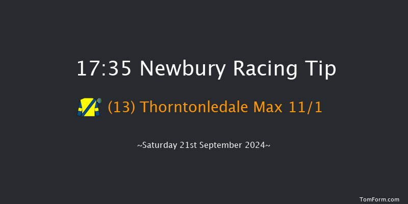 Newbury  17:35 Handicap (Class 4) 8f  Fri 20th Sep 2024