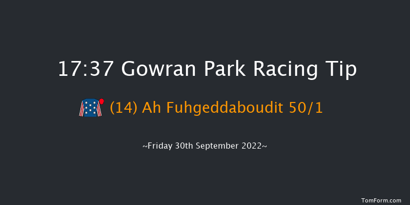 Gowran Park 17:37 NH Flat Race 16f Sat 17th Sep 2022