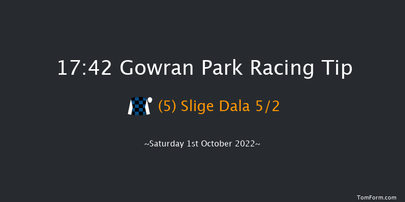 Gowran Park 17:42 Maiden Chase 25f Fri 30th Sep 2022