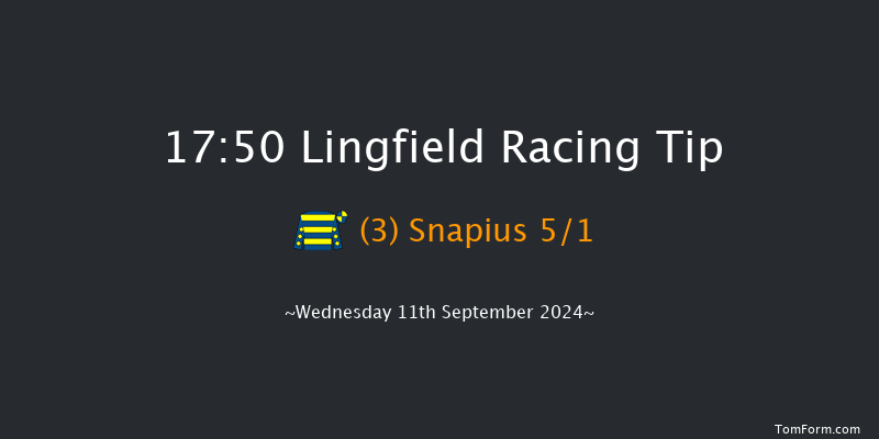 Lingfield  17:50 Handicap (Class 6) 12f Tue 10th Sep 2024