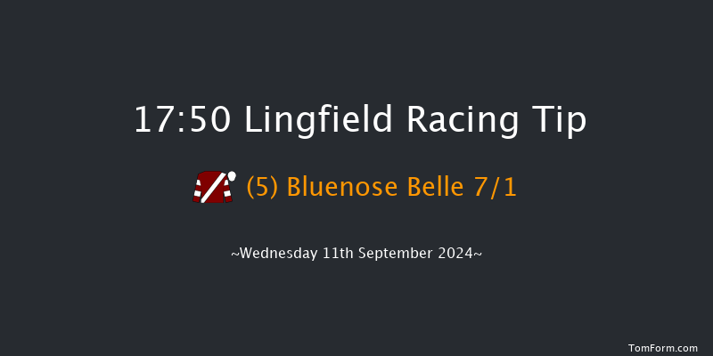 Lingfield  17:50 Handicap (Class 6) 12f Tue 10th Sep 2024