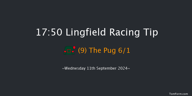 Lingfield  17:50 Handicap (Class 6) 12f Tue 10th Sep 2024