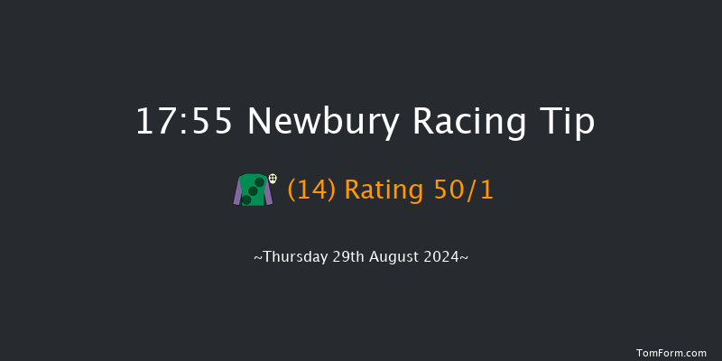 Newbury  17:55 Handicap (Class 4) 7f  Sat 17th Aug 2024