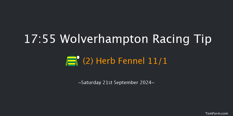 Wolverhampton  17:55 Maiden (Class 5) 7f  Mon 9th Sep 2024