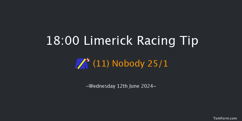 Limerick  18:00 Handicap 12f Thu 30th May 2024