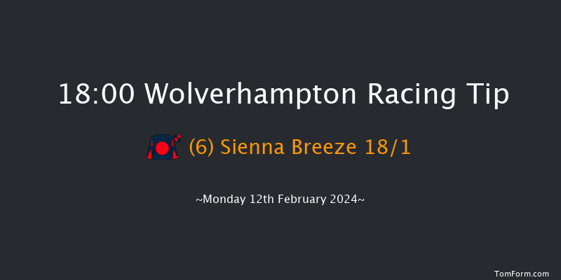 Wolverhampton  18:00 Handicap (Class 6) 7f Sat 10th Feb 2024