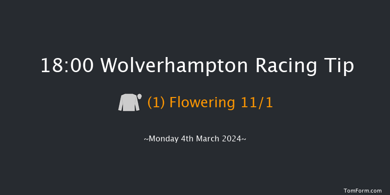 Wolverhampton  18:00 Handicap (Class 6) 12f Sat 2nd Mar 2024